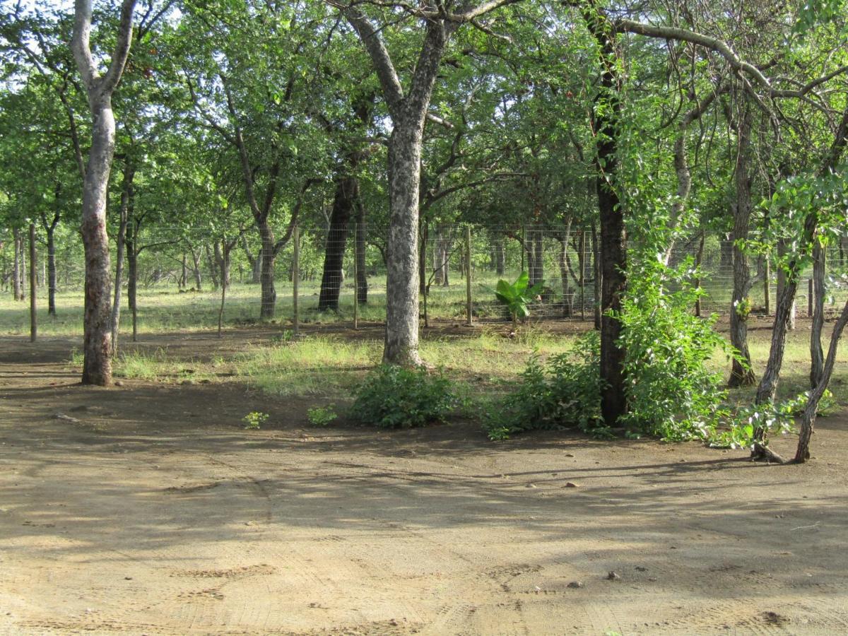Pafuri Gate Guesthouse Mabalingwe Game Reserve Exteriör bild